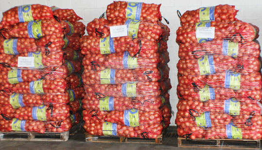Onions On A Palette